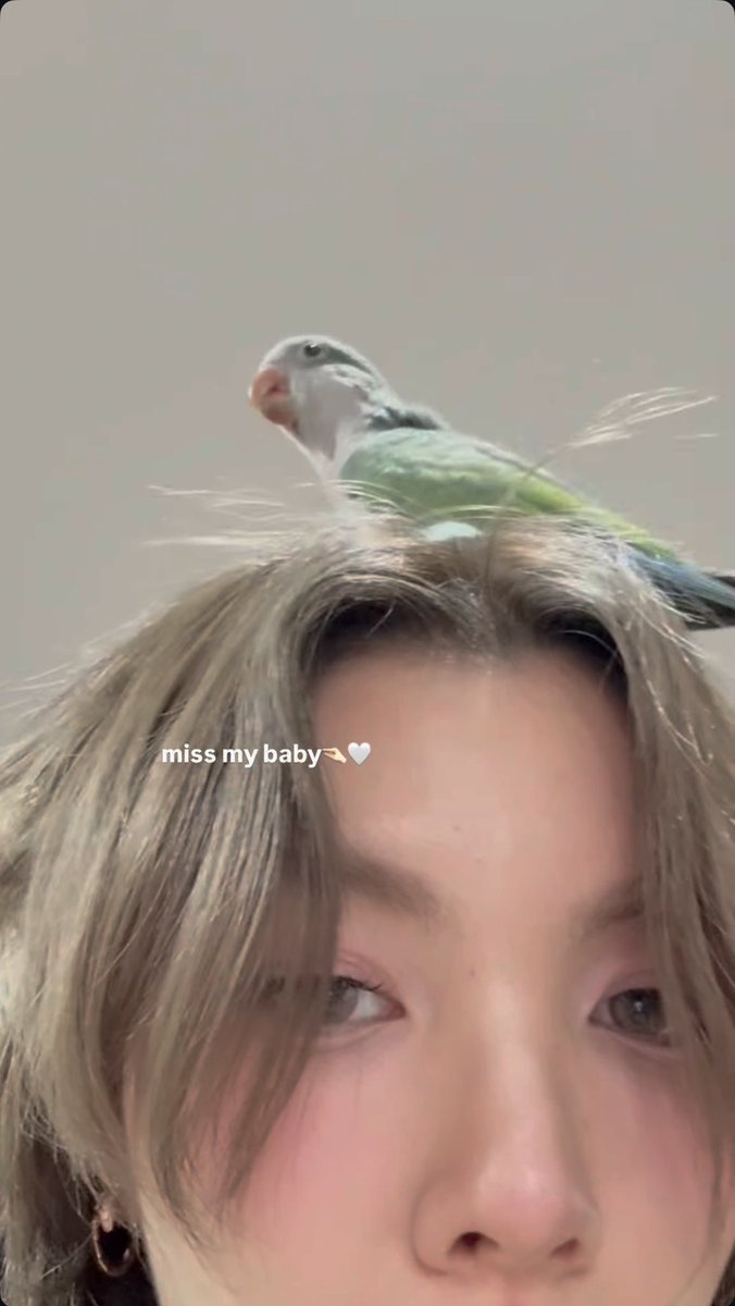 bb_baeby's tweet photo. หัวมามิ๊คือรังพี่บูบูหนอ https://t.co/aTpIE4oEsA