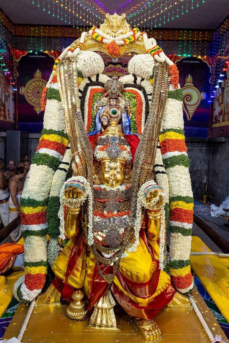 TirumalaDiaries's tweet photo. Garuda vahanam in Tirumala

#tirumala #tirupati #srivaritemple
#ttd #Brahmotsavams2026 #Garudaseva2026
#govinda https://t.co/EcWWF3Ttp7