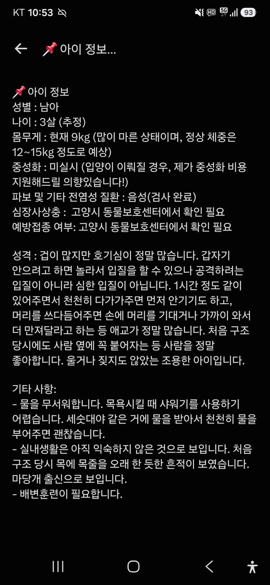 animalrtaccount's tweet photo. 입양문의 031-962-3232
고양시 보호소에 있어요
공고번호 2026 00467
구조자님이 중성화비 지원해주신다합니다 https://t.co/8w2ouJanwx