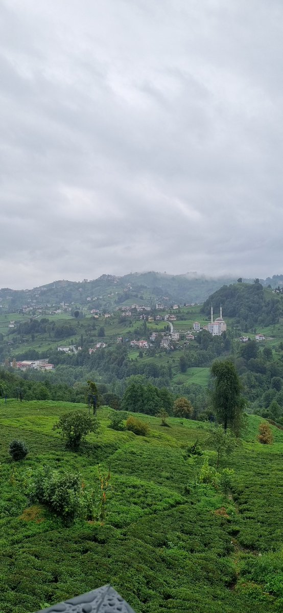 ayseenurrr61_'s tweet photo. Karadeniz iyileştirir 🌱🫶🏻🏞 https://t.co/XKKcigJmgd
