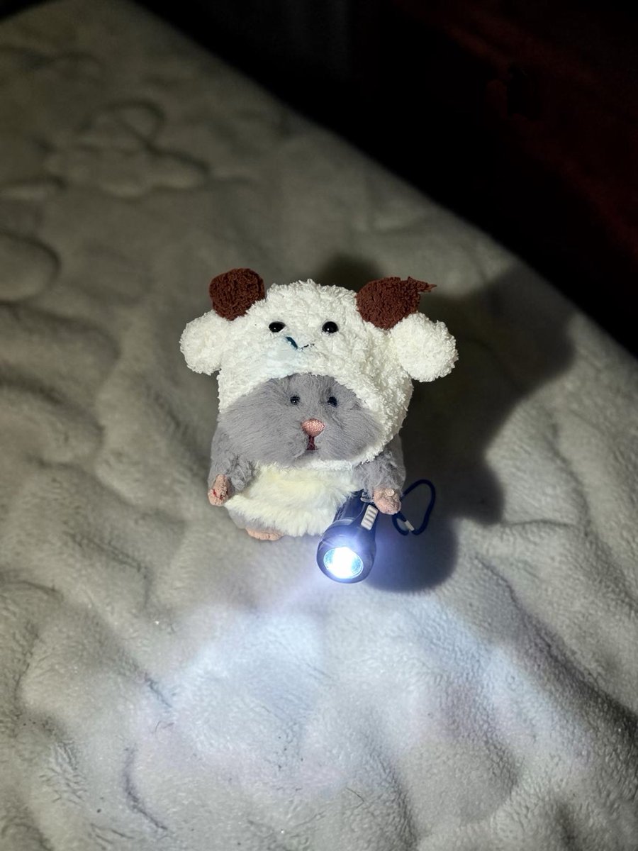 yuiyui_susi's tweet photo. ちゃんと寝てるか
夜の見回りにきた🐹🔦 https://t.co/TiStNrxuqj