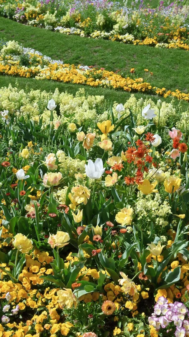 corar420940's tweet photo. Every day is a new beginning.
昆明🧧五华🦰盘龙🍃官渡🛕兼🚁职💌西山🍷呈贡🎅 #昆明  🔻🌚个人联系→@ytup55678 https://t.co/wUKNFf7lbr