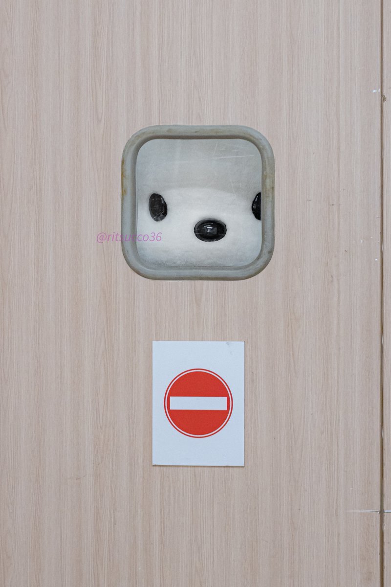 ritsucco36's tweet photo. スタッフ用出入口の小窓に
顔はめして遊んでるポチャッコ🐾

さすがにかわいすぎて死ぬwww🤣❤️❤️❤️

 #アピタ新潟亀田
 #ポチャッコ https://t.co/bdWtM0RRUN
