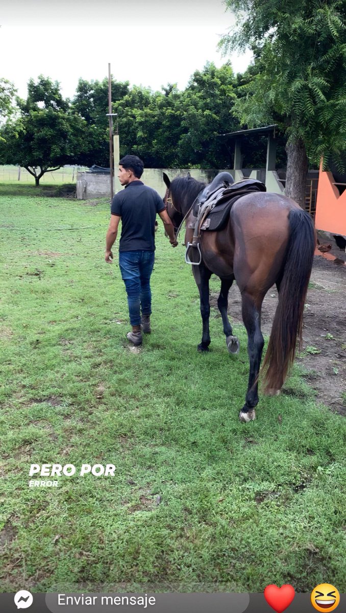 Golozo369214's tweet photo. ✨POR PETICION : PROMO DE FIN DE SEMANA🔥🥵👌

DELICIOSO MACHO🍆 VAQUERO🤠 RICO ANO AJUSTADO🔥Y JUGOZA VERGA🤤🤤

🇵🇪 S/10 / yape /PLIN
🌍6$ / PAYPAL

🚀MAS DE 26 MINUTOS /MORE THAN 26 MIN👉

🥵JOIN FREE TELEGRAM: 

 https://t.co/4ocj5yRETJ

👉https://t.co/uMmn1ddtCs https://t.co/HLPc1fwOvG