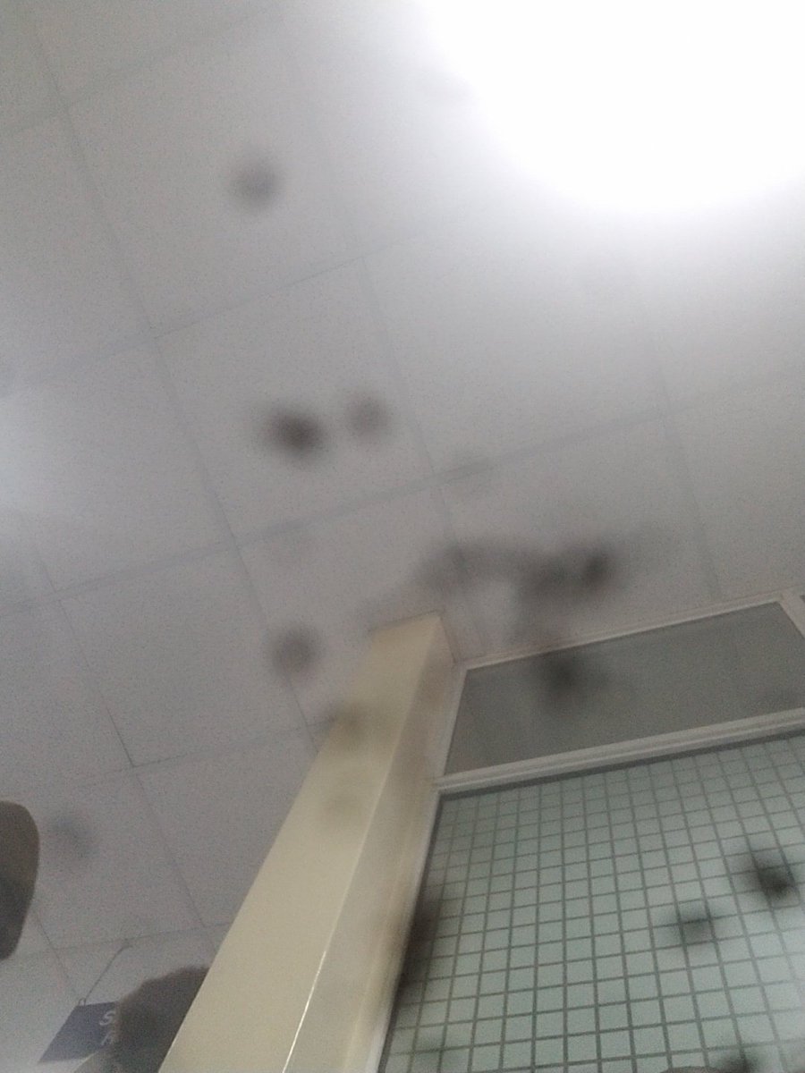 Eng_masun's tweet photo. What a coincidence tweet.
Quick healing to my man. https://t.co/pljRaJwkgn