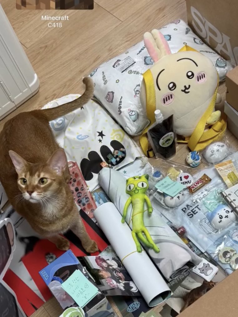 coong1er's tweet photo. 고츄냥이 우사기 민우집 입갤 https://t.co/dFXFeCI3rk