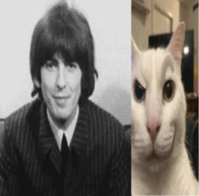 panicforsale's tweet photo. George Harrison's death was the worst thing to happen in the United States in 2001 https://t.co/9Wih18uDiX