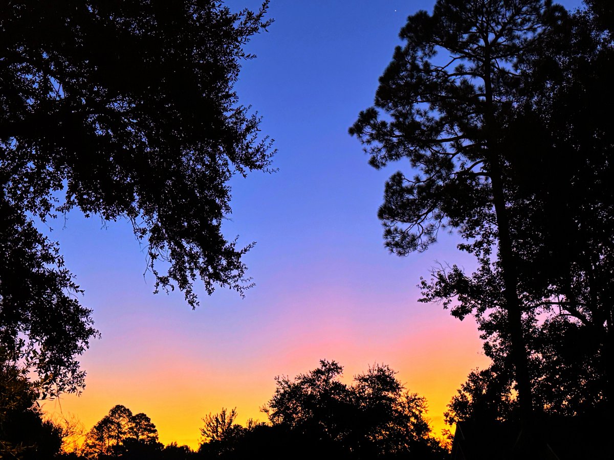 DavidMora's tweet photo. The morning skies have been so beautiful this month! 💜🩷💛 https://t.co/yehuq8I59R