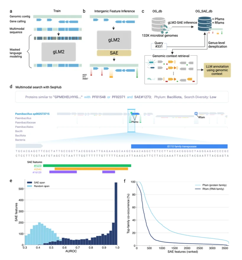 Biology+AI Daily on X: "Discovery of Microbial Intergenic Features With ...