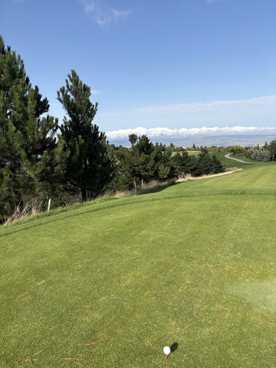 FlorianHeiner's tweet photo. Excellent course conditions today here at Golf&amp;Spa Tabori ⛳️ https://t.co/pAWWqNmVBN