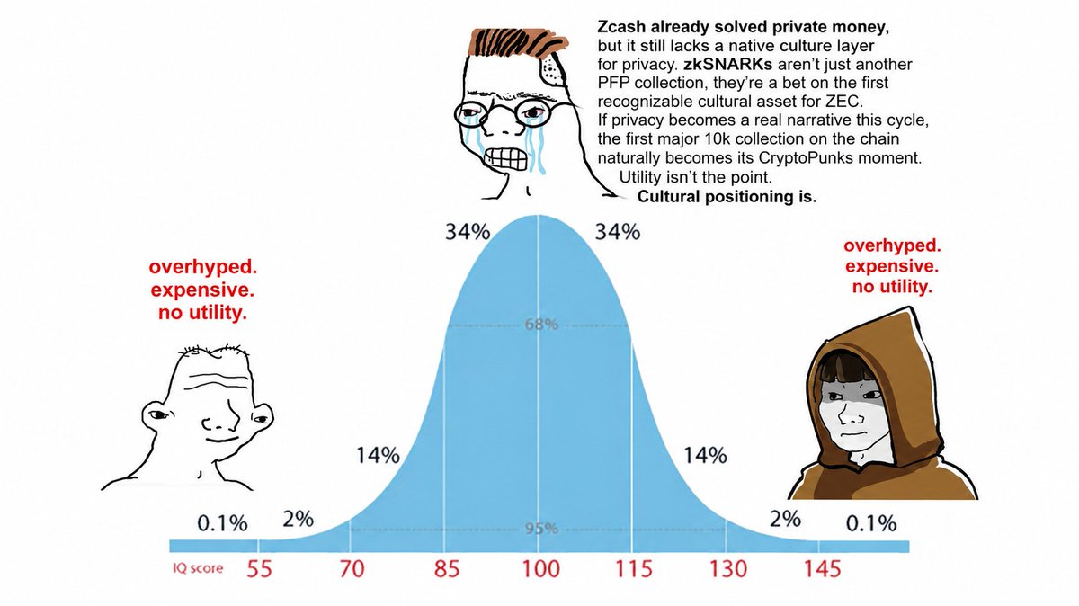 stablemark_'s tweet photo. the zkSNARKs mint IQ curve https://t.co/epHYCQqbvz