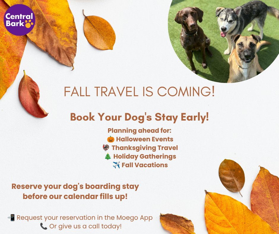 CentralBarkYork's tweet photo. 🍂🐶 Fall Travel Is Right Around the Corner! 🐶🍂
September is the perfect time to start planning for all the exciting trips ahead.
If you're already thinking about:
🎃 Halloween events
🦃 Thanksgiving travel
🎄 Holiday gatherings
✈️ Fall vacations
Now is the time to reserve... https://t.co/e0eYGgNNjR