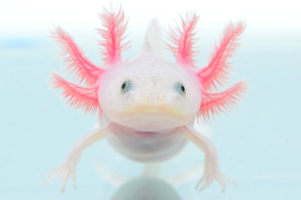 XXyzr_vvv's tweet photo. それすぎてかわいい https://t.co/2OUi2iKMQV
