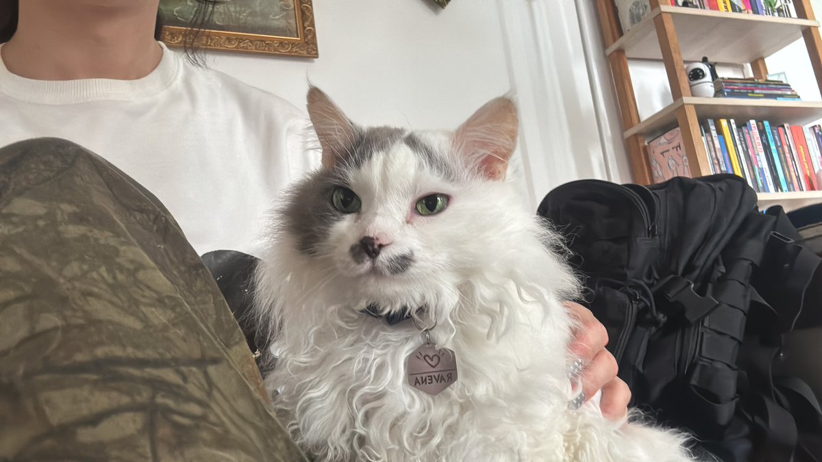whowannakissx's tweet photo. esperando terminarem de escovar o cabelo da minha cliente e eu e a gata dela tivemos literalmente the most beautiful bonding experience do mundo nos estamos apaixonadas uma pela outra sinto que somos melhores amigas https://t.co/UZuqkBoLF2