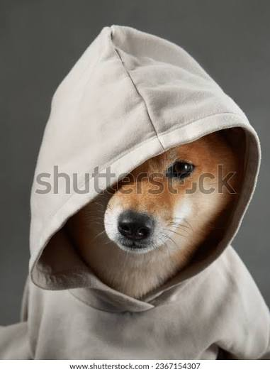 maicalcx's tweet photo. yo @tewdr23 don't let me catch u lacking boy.. ON MY MOMMA GRAVE there gon be altercations.. trust me you DO NOT!1 want to be my oponent... https://t.co/lA8pqol4ER
