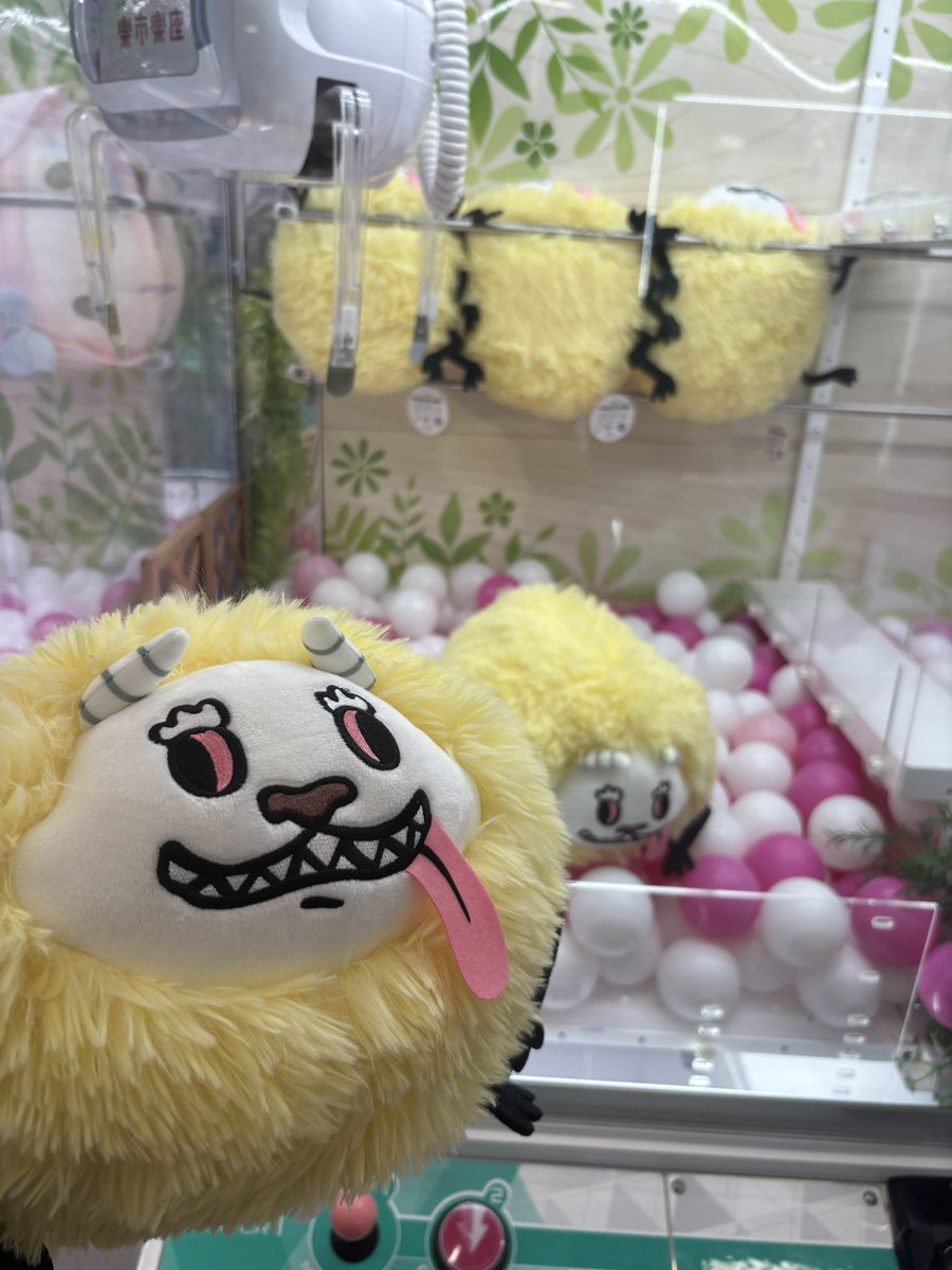 nanda_koi_2's tweet photo. でかつよちゃん1000円でゲット🫶🏻
毛並みがふわふわで気持ちいいし可愛い♡ https://t.co/DVMg9w59Bf