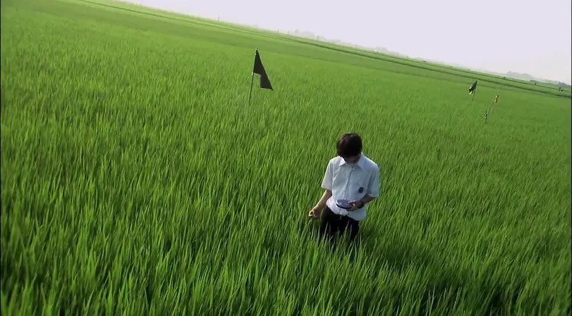 manguzzzz's tweet photo. All about Lily Chou-Chou (2001), Shunji Iwai https://t.co/uUDVW56yhg