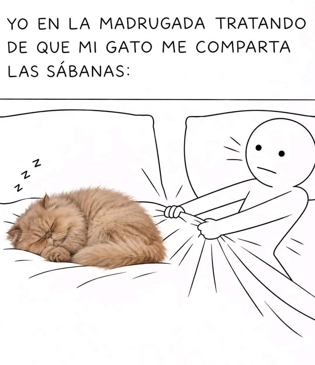 tiofelino2's tweet photo. ¿Me regalas un poco de sábana gatito? 🥺🙏 https://t.co/uVgMGLSojy