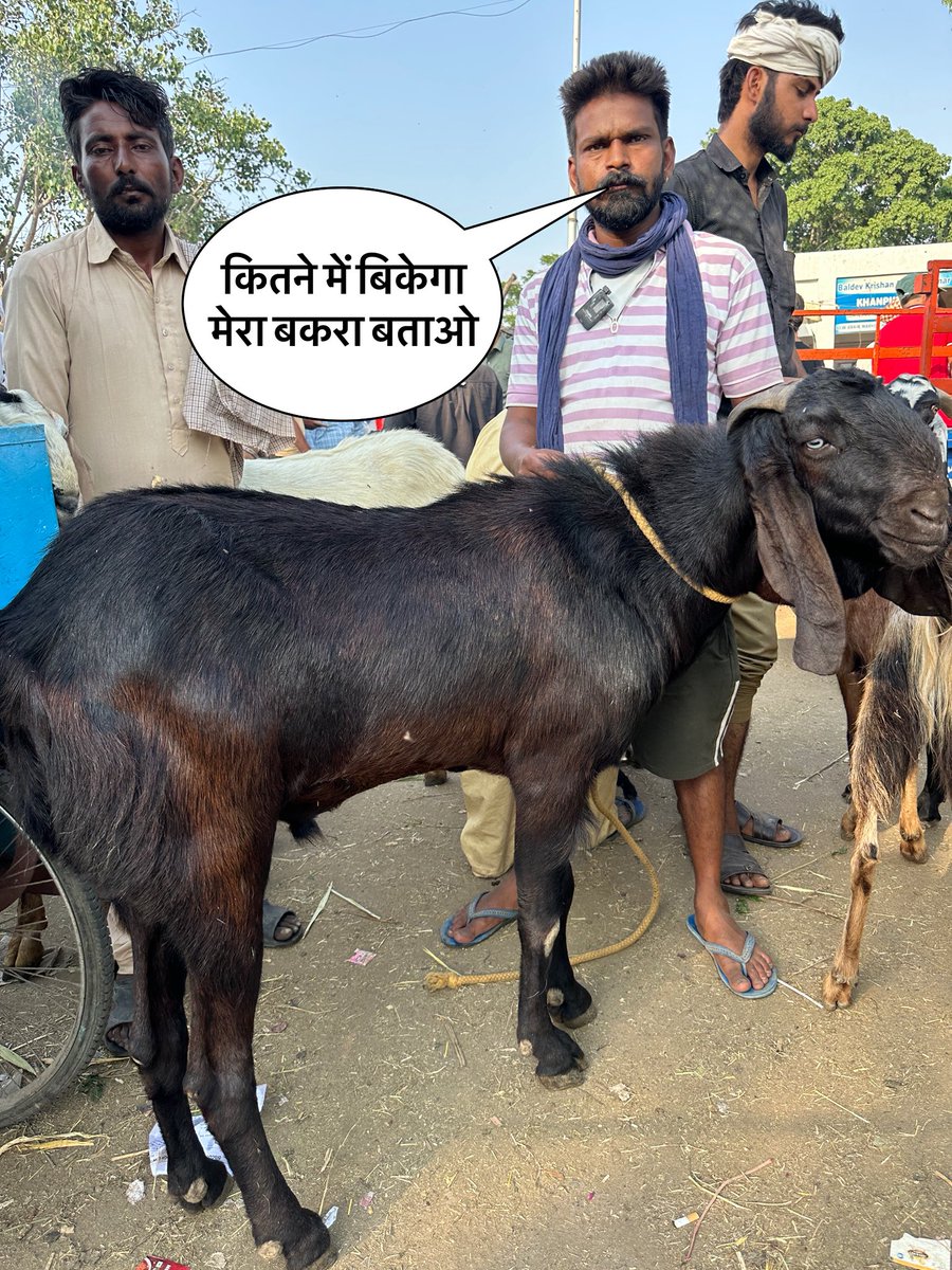 JugnuSharma16's tweet photo. https://t.co/eglN50utWk