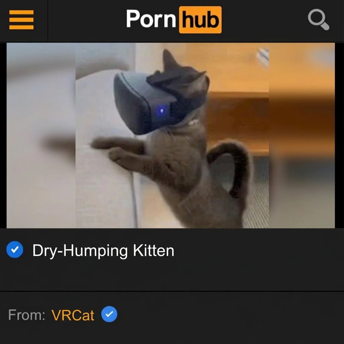 VRCat_META's tweet photo. VRCat uploaded his first video and immediately broke the hub https://t.co/CAjxUU0v3Z