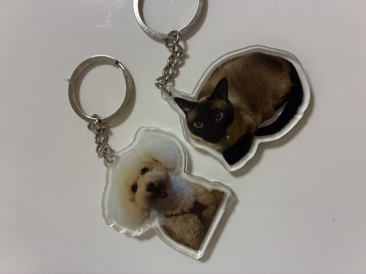 dai8800's tweet photo. 非売品🐶🐈 https://t.co/4zHEDmTHGu