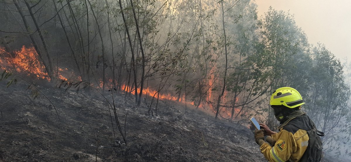 LuisDia04141689's tweet photo. Un dia mas de combate un dia mas de lucha Cerro Casitagua esta es nuestra mision de proteger y cuidar la naturaleza. https://t.co/KTnfk57ZiH