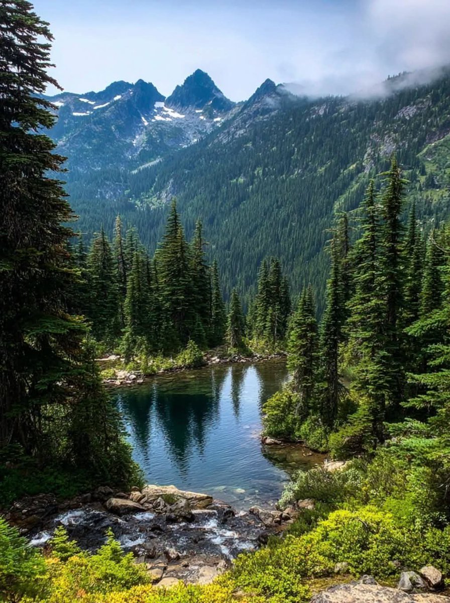 worldclick56's tweet photo. Clear mountain water surrounded by endless evergreens.🌲 https://t.co/3cSF2t060F