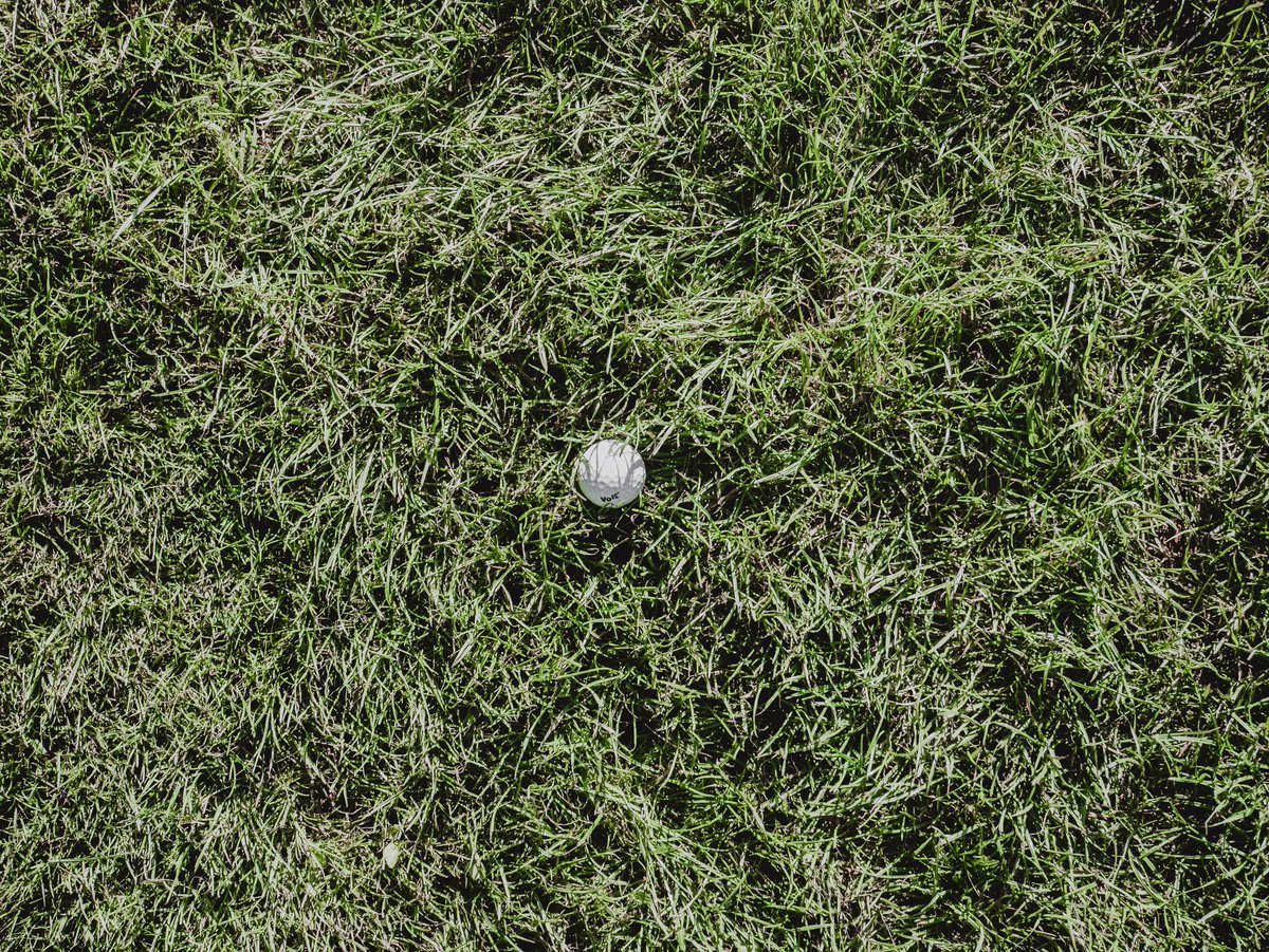 cvhijvemyoavq8's tweet photo. A busy survey ended, then I played golf at the parkland station by the quiet bridge. Under cool light, calendar overload gave way to calm stillness and simple momentum. #WorkdayGolf #OutdoorReset https://t.co/pmKz1xBX2L