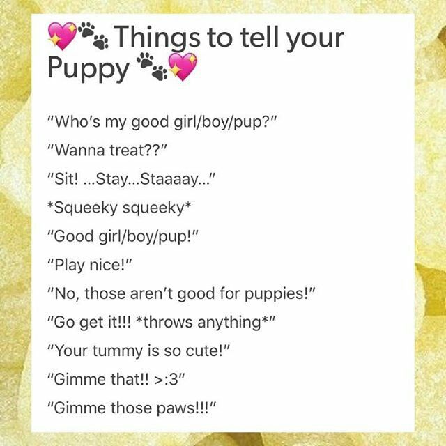 needypupim's tweet photo. I love it when mommy  call me that I really want that so needy ;33 https://t.co/jCkWczLb6y