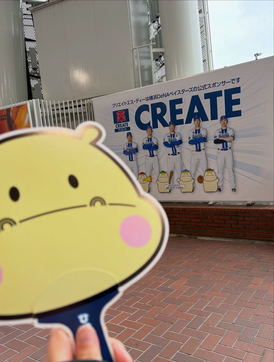 Chiiiii______k's tweet photo. ヒッポちゃんの始球式！
ナイスストライクでした⚾️

#ヒッポちゃん
#始球式
#浜スタ https://t.co/di1hFswecK