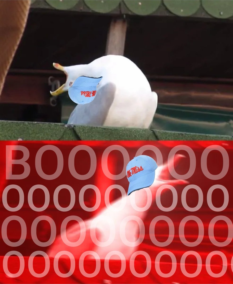 CFBMemes tweet picture
