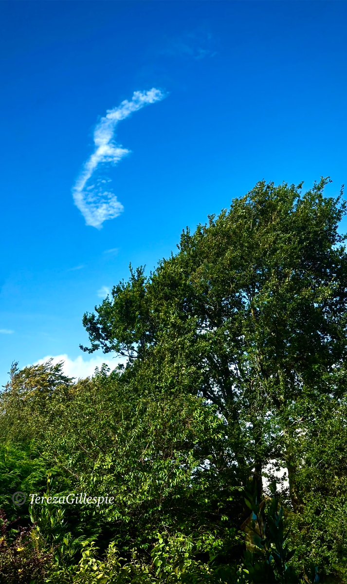 TBGTNT's tweet photo. There is a massive ‘E’ in the sky over my house this afternoon.
#Ireland #clouds #sky #strange 
Did you put it there @elonmusk ?😉
📸@TBGTNT https://t.co/HpzeFXqcLO
