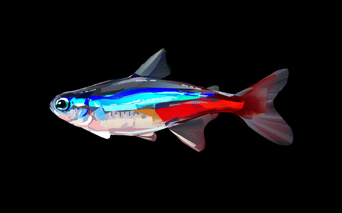 junbuug's tweet photo. Fish commishes https://t.co/Qys69ayOEU