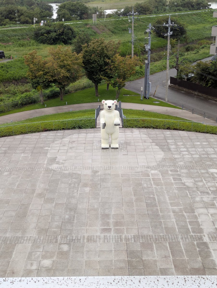 PlanetEcho1's tweet photo. すぎもよ、クマだよ
富山県美術館のクマ、杉元だよ https://t.co/uJSaxA3X2Z