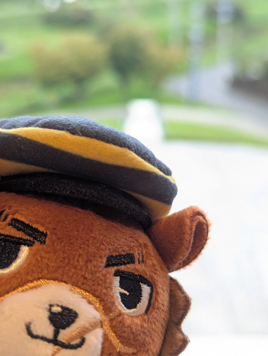 PlanetEcho1's tweet photo. すぎもよ、クマだよ
富山県美術館のクマ、杉元だよ https://t.co/uJSaxA3X2Z