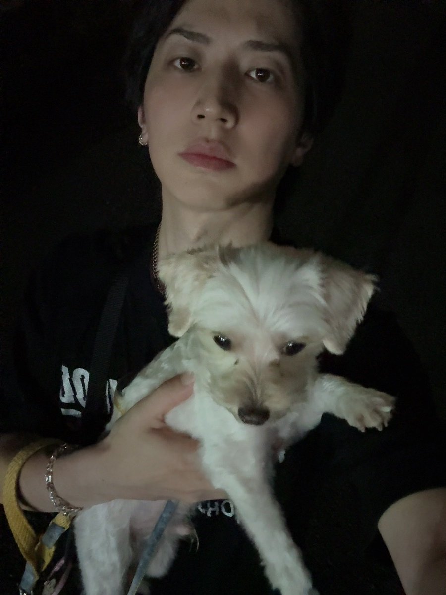 SORI0918's tweet photo. 小雨ぐらいで歩かなくなるのやめてほしいんですが。 https://t.co/WBfg5lWB6X