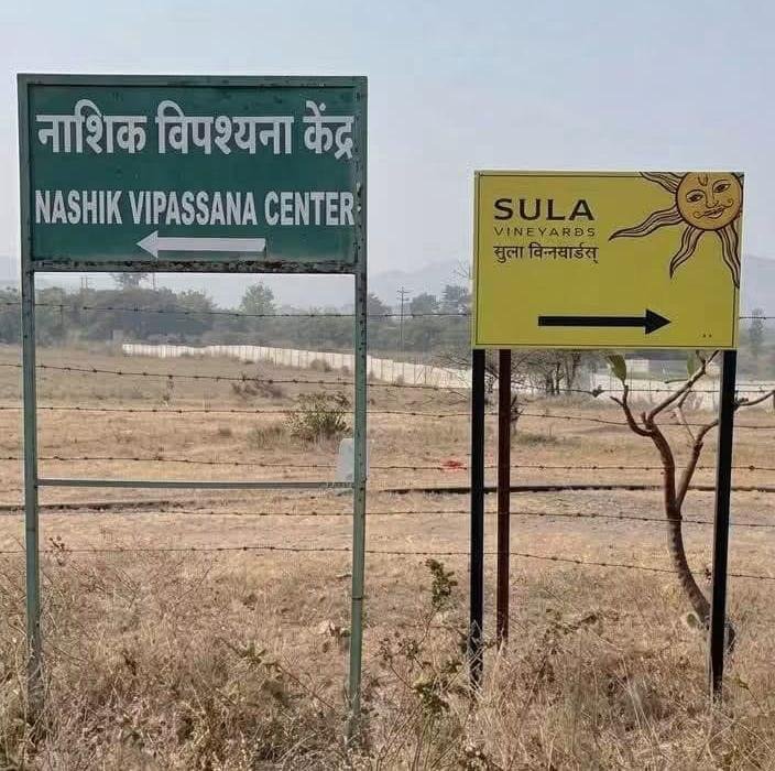 SadhaMaanus's tweet photo. You will find peace in either direction.... 😆 https://t.co/RW0rMTI9QH