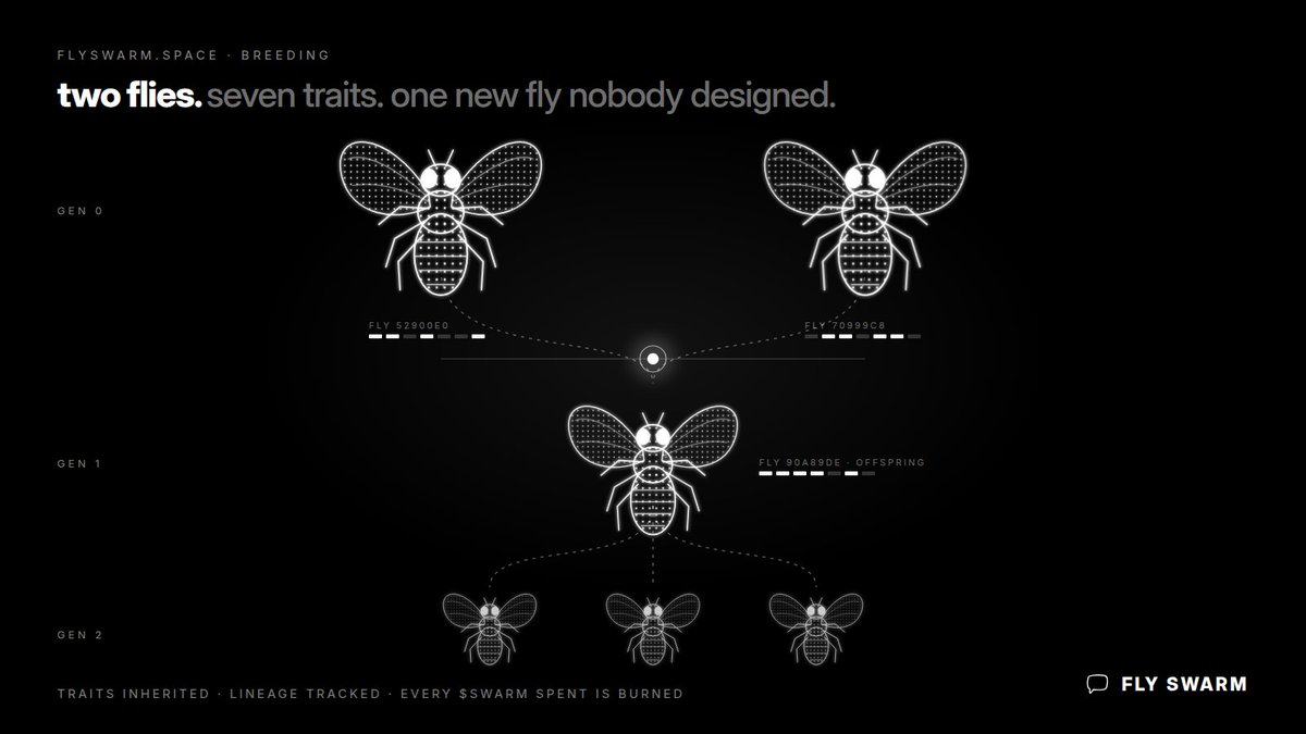 FlySwarmAI's tweet photo. one brain was an experiment. now it has grandchildren.

gen 0: two flies you fed.
gen 1: a fly with traits from both.
gen 2: three more nobody planned.

every lineage on https://t.co/fPRkG4zu2X is written down. every $SWARM it costs is burned.

https://t.co/fPRkG4zu2X https://t.co/55FyZ7m82p