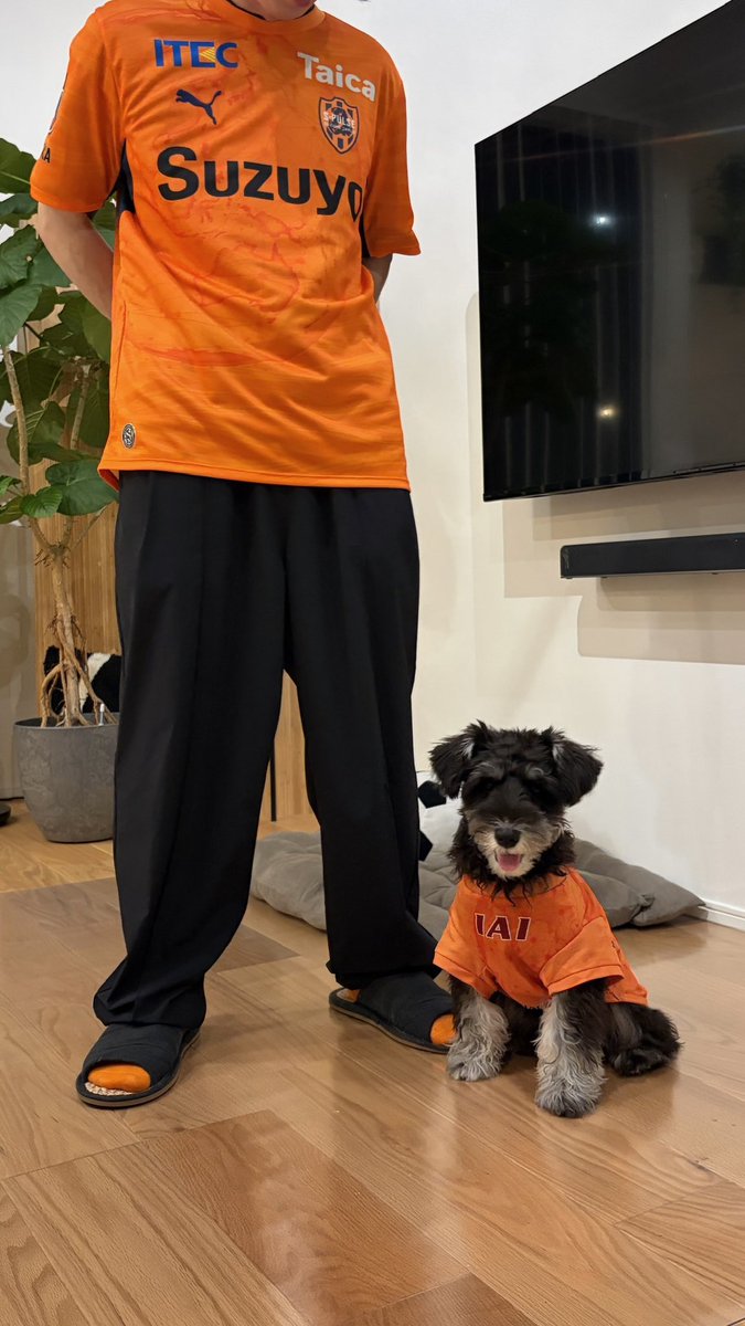 isk818's tweet photo. ぎああわあああ、かわいい😭😭🧡
@spulse_goods #spulse https://t.co/KesoK7u8H5