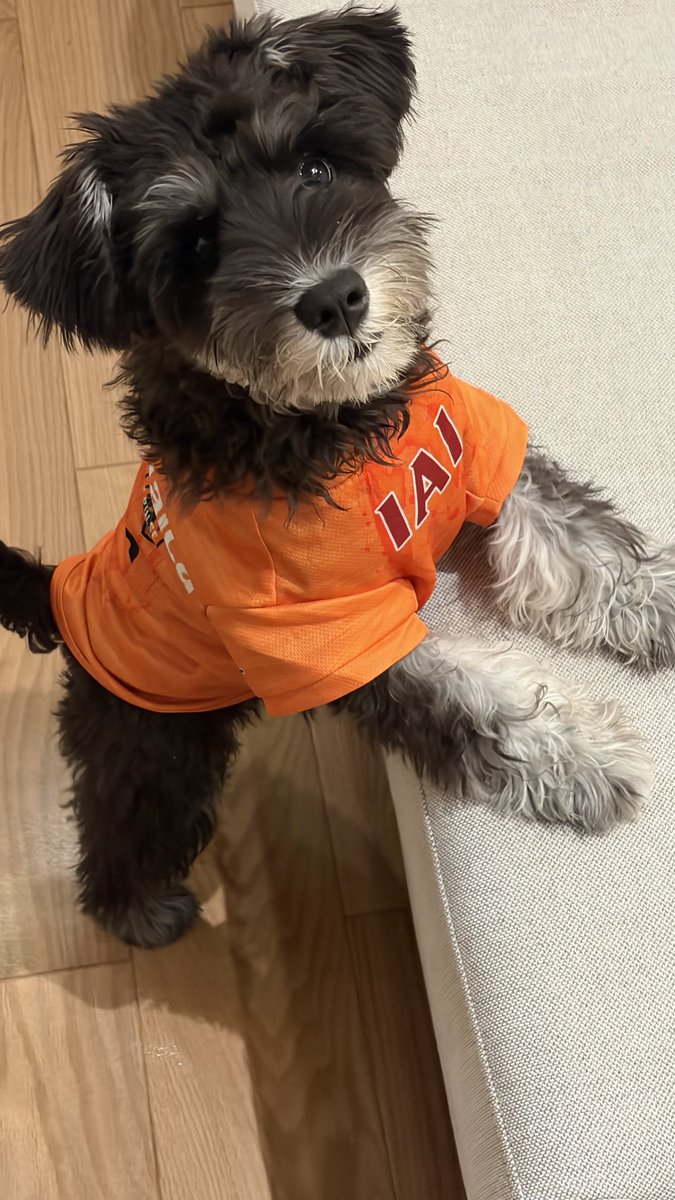isk818's tweet photo. ぎああわあああ、かわいい😭😭🧡
@spulse_goods #spulse https://t.co/KesoK7u8H5