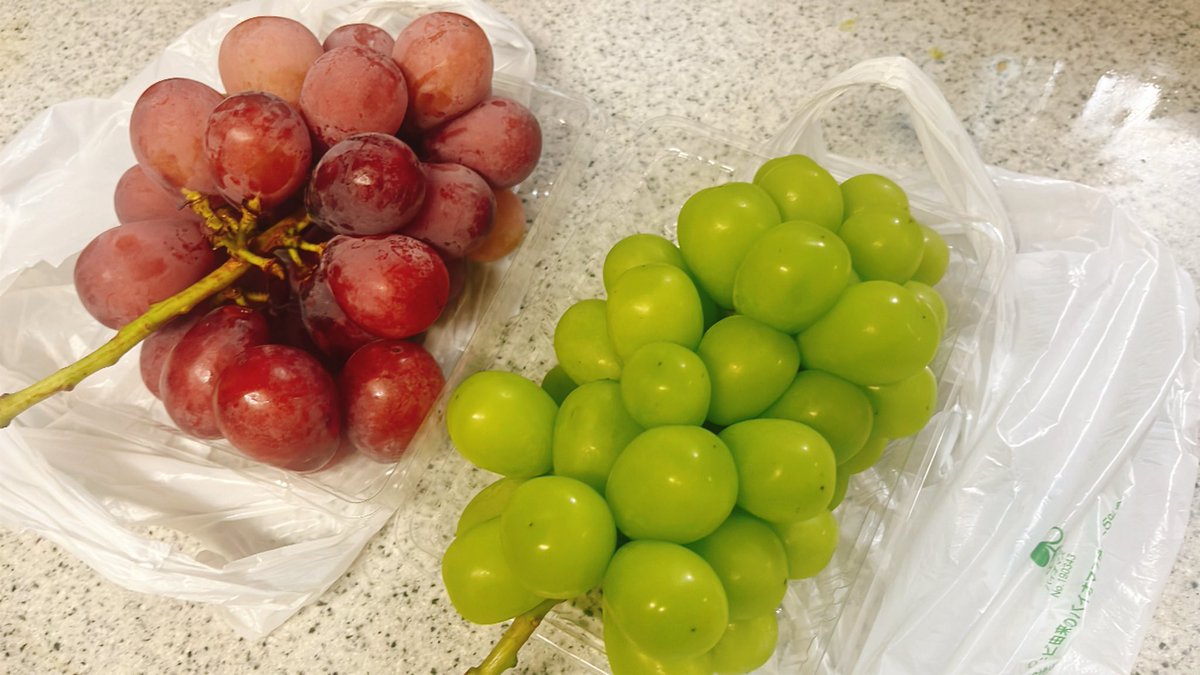 mariusa_0707's tweet photo. ぶどう狩り楽しかった、これは持ち帰ったやつ🍇 https://t.co/ab84A1fnPB