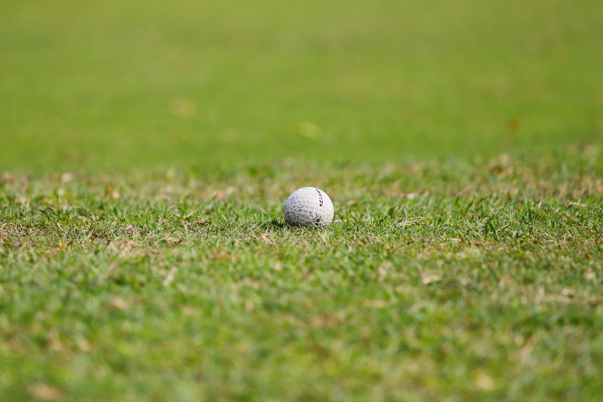 mmomam835's tweet photo. Golf has become my favorite way to combine exercise with conversation. I can walk for hours, stay mentally engaged, and still catch up with friends without staring at a screen. #ActiveGolfLife #OutdoorConnection https://t.co/ovyQd33QZd