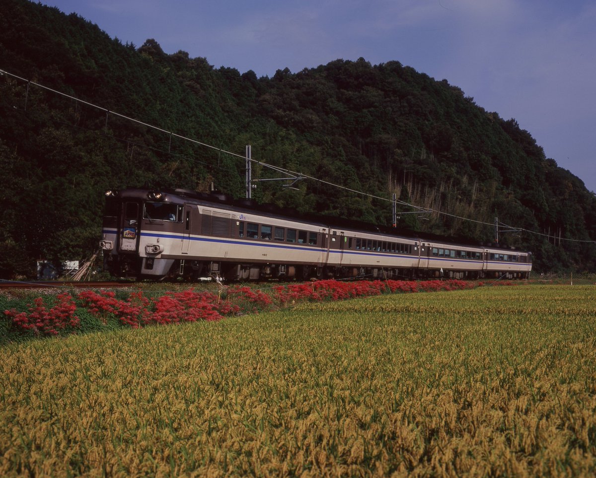 223Y_twit's tweet photo. シルバーウィークですが、2009年、2015年に続いて3度目らしい。2009年は播但線のはまかぜと山陽線の貨物を撮影に行っておりました。PENTAX67ⅡRVP-F＋1 https://t.co/c63DVDTZja