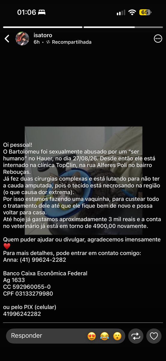ellypostagem's tweet photo. dessa vez, a postagem é séria.

tivemos o caso de um gatinho abusado sexualmente por um humano na minha cidade... 

por gentileza, compartilhem e ajudem na arrecadação. https://t.co/lBLJaVDmnR