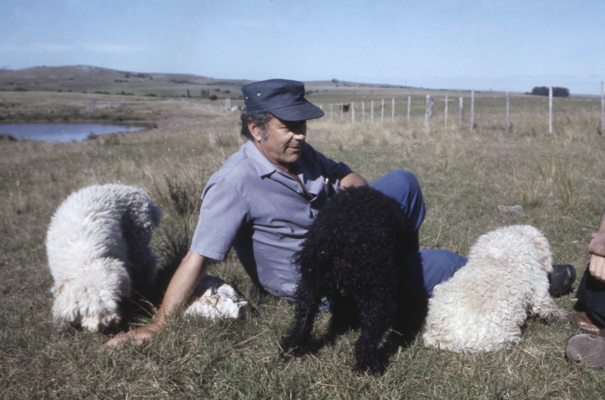 Atlantic_Sprt's tweet photo. Leonel Brizola com seus cachorros durante o exílio no Uruguai (1974) | 🇧🇷 https://t.co/SMGy1VdU1a