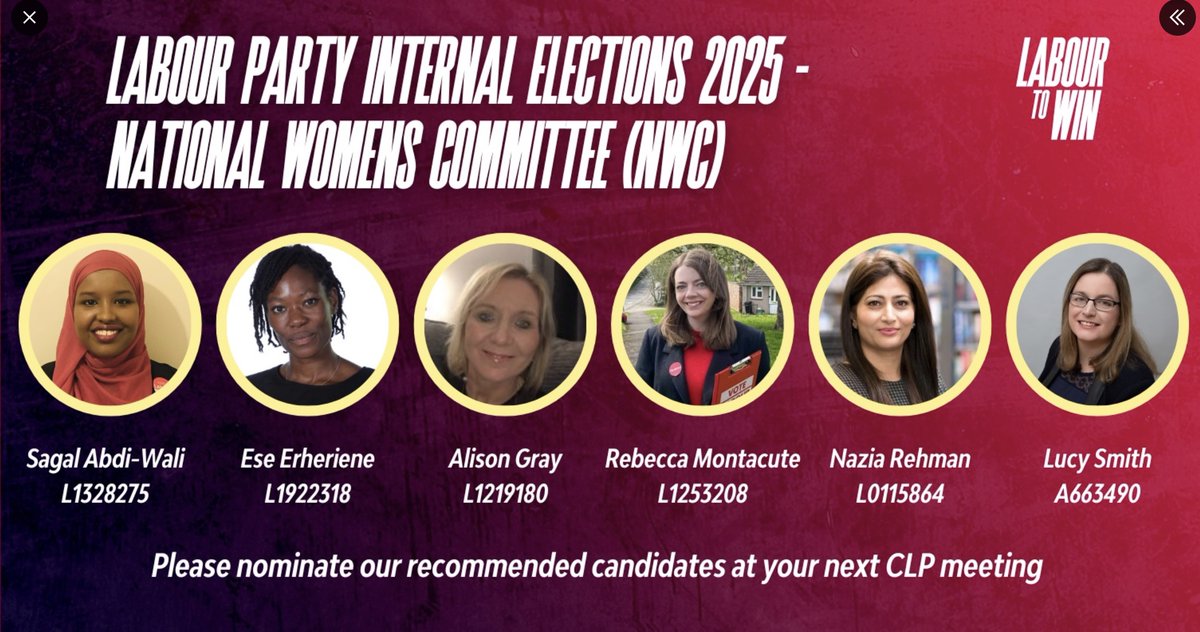 LabourRightWtch's tweet photo. @comrade_kumar_ Sagal Abdi-Wali was on Labour to Win's slate in 2025.
She's firmly on the right of the party if she's in the Akehurst-Yeowell Labour to Win faction!
Labour to Win is funded by lobby firm PLMR and Israel lobbyist Gary Lubner. https://t.co/f3aQQx477L