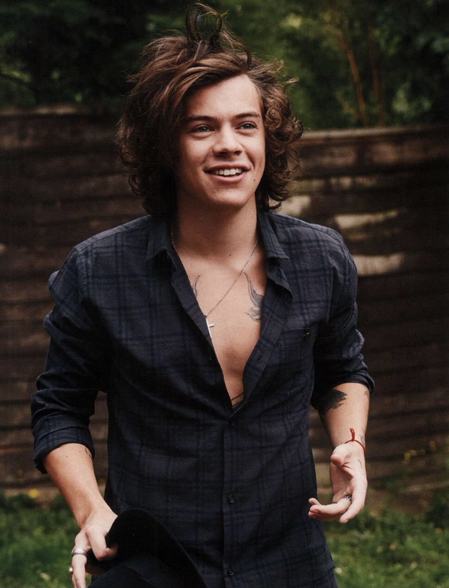 AusllyDirection's tweet photo. Prince Hair Harry is so under appreciated https://t.co/f7YShXeCdX