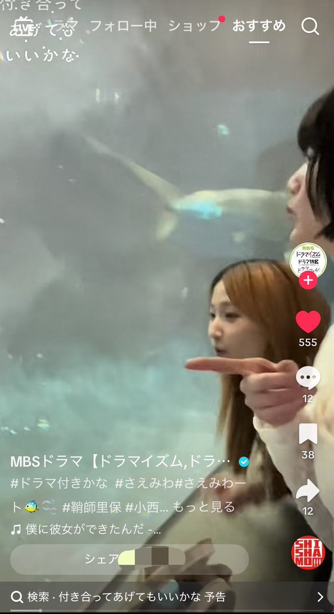888natsunimo's tweet photo. やーだTikTokの音源 僕に彼女ができたんだ で最高🌟（  ¯꒳¯̥̥  ）
水族館デート尊すぎ…𝑳‌𝑶‌𝑽‌𝑬……🫶🏻︎(   ᷄ᾥ ᷅ )

 #付きかな  #ドラマ付きかな https://t.co/SpguvnFh5T