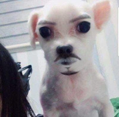 oddgln's tweet photo. 심심한데. 아무나 저를 놀아주세요 https://t.co/BbxAt4bAg8