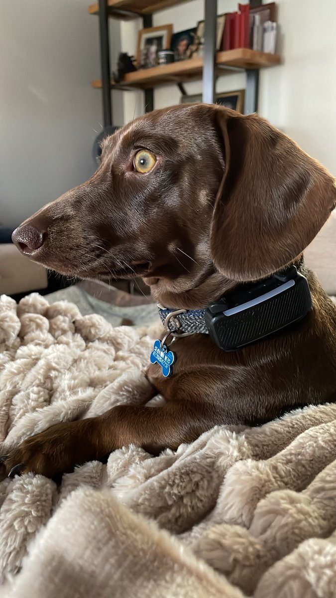Notmymonkeys67's tweet photo. @oelma__ I’d crawl over broken glass for my boy. https://t.co/bs9ujraPop